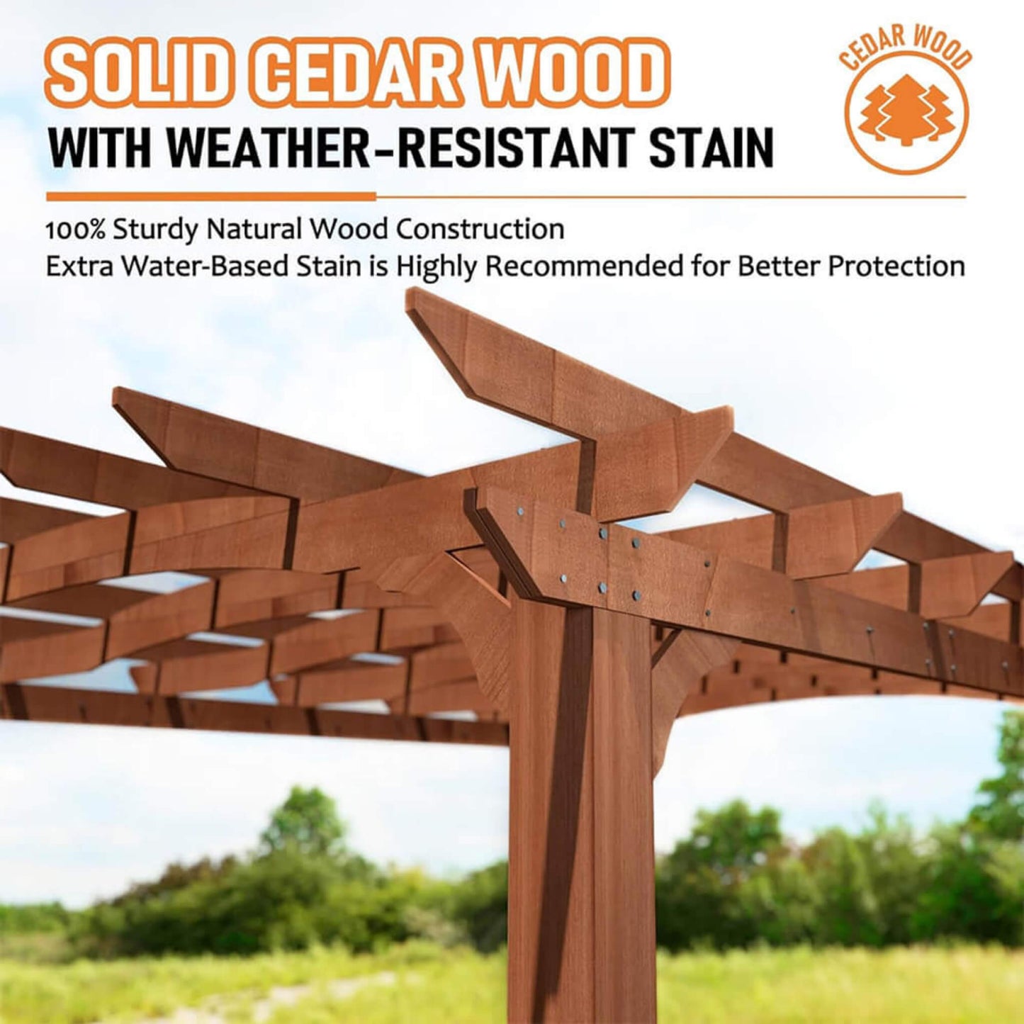 The Aspen Arch 12' x 14' Cedar Wood Pergola | Curved Roof Garden Trellis